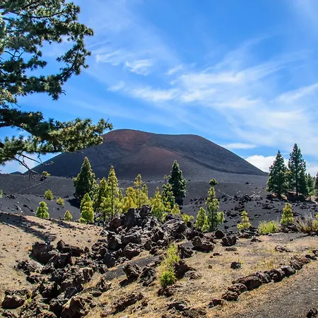 Apartamento Plaza Del *