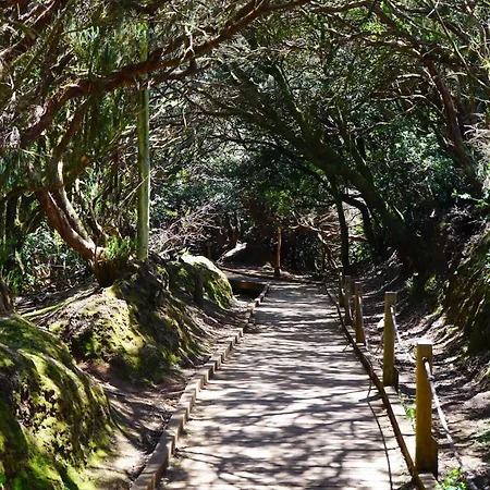 Apartamento Plaza Del Santa Cruz de Tenerife